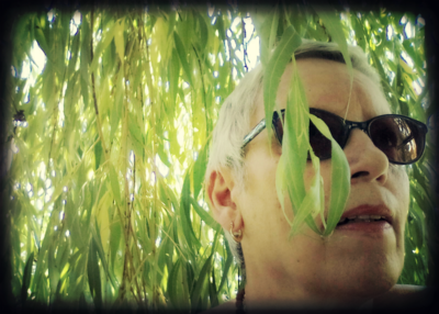 Povím ti vrbo tajemství...