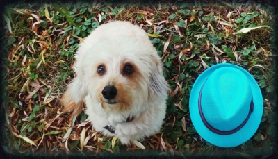 Patříme oba k paničce, víte...