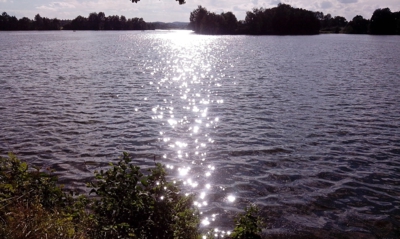 Západ slunce v rybníce