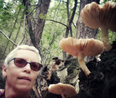 Lesní souznění...