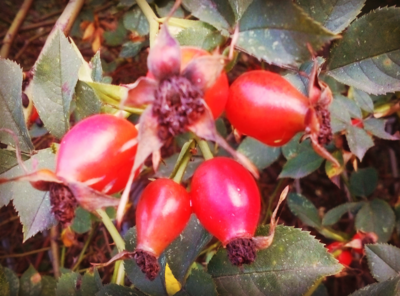 Jsme tu zas, pro vaše zdraví...