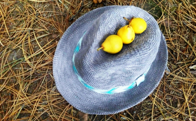 Ježka jsme nepotkali...