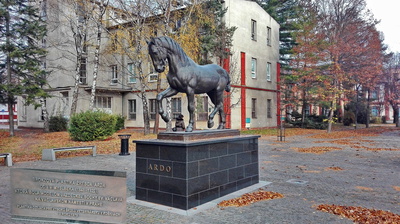 Zajímavost z metropole Východu- Košic