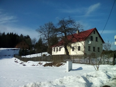 Starý strom a nová fasáda