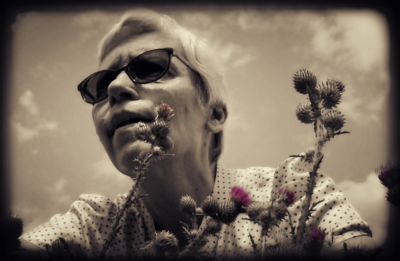 Že by růže mezi bodláčím...?