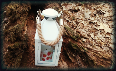 Světlo na pouti životní...