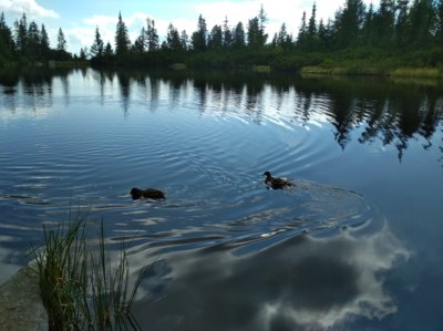 Jamské pleso