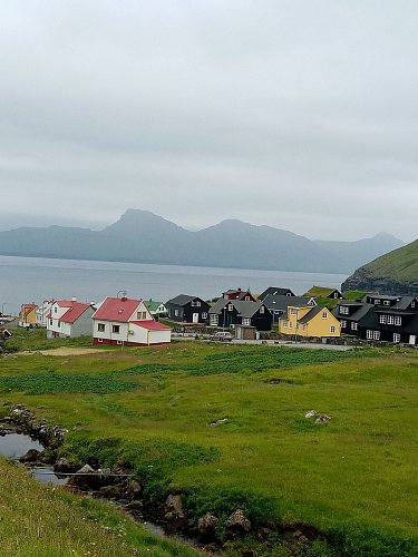 Gyógv