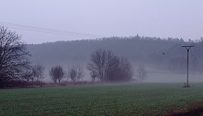 Ranní procházka všedního dne