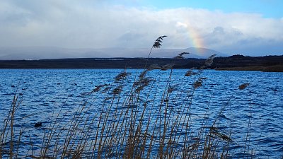 Jezero Most