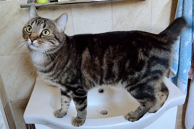 Pojď mi umýt záda!