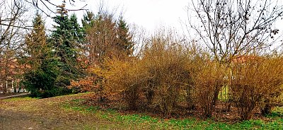 Snad už to jaro přijde...