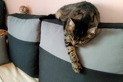 To už musím vstávat? Aha, letní čas!