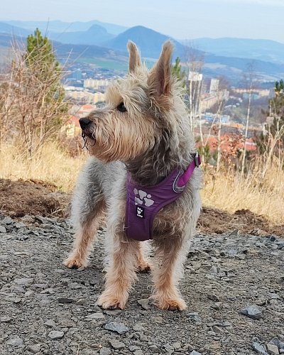 Vyhlížím slunce, jaro je tady (nesoutěžní)