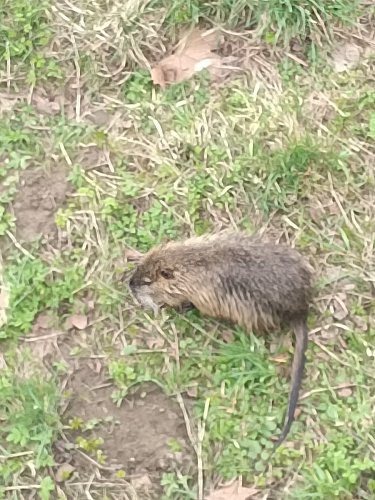 To se jen tak nevidí