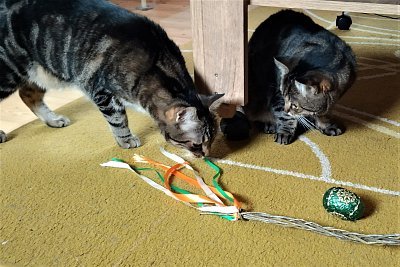 Přání radostných velikonoc od party z Týna