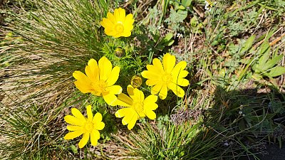 Dnes je nádherný den