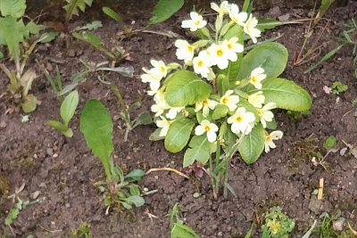 Tak nevím, jsem tu dobře na jaře?