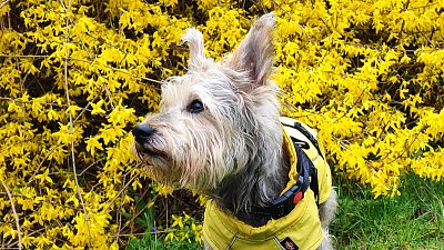 Ladím barevně dobře?