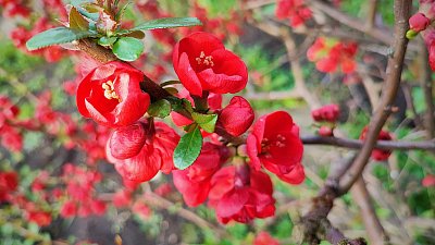 Pro ten dnešní den