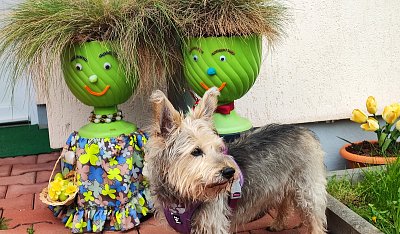 Vezmou mě do party?