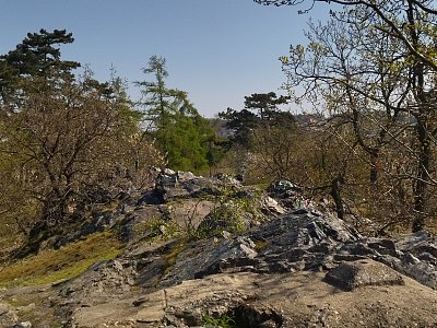 Velká skála v Troji