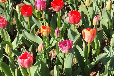 To už asi bude jaro