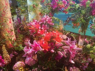 Flora potěšila oči