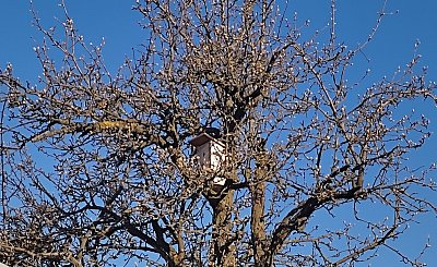 Nově bydlení na staré*