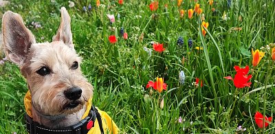 Asi také "rozkvetu", jak je mi tu dobře.