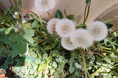 I tahle podoba jim sluší