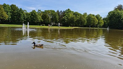 Plavu si, ani nevím jak...