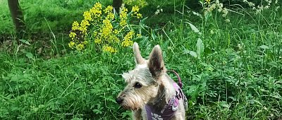 V přírodě je můj druhý domov