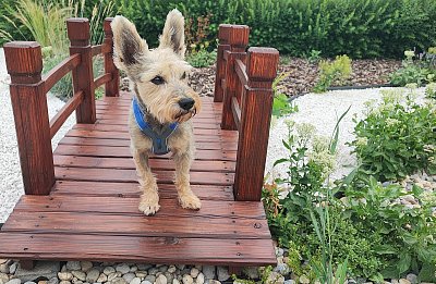 Zdravím z Japonska :-)