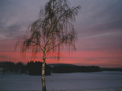 Kdesi v Krkonoších *