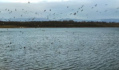 Jezero Most