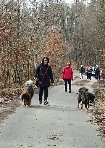 Na cestě bylo živo