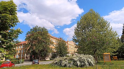 Škola ve stylu sorela 2