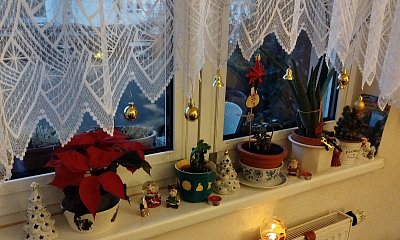 Hezké Vánoce všem