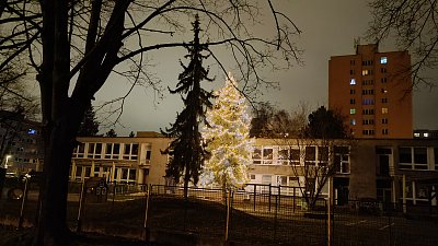 Sama ztichlým štědrovečerním městem... *