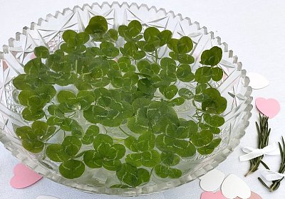 Jak to bylo v létě