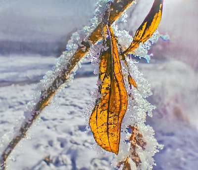 Jeden z posledních...