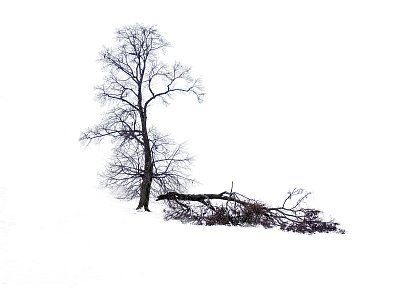 Raněný velikán.....II