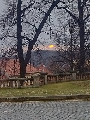 Chvilička únorového sluníčka