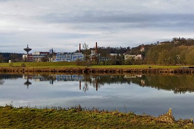 Bývalá "penicilinka"*