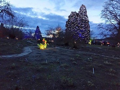 Křišťálová zahrada - bohužel včera skončila*