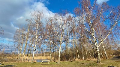 Když se únor usměje