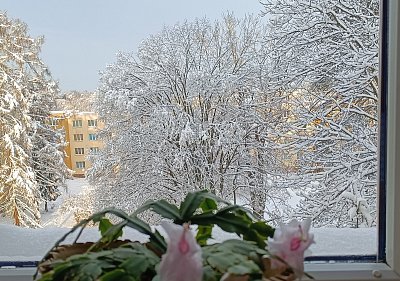 Doma pohoda, za oknem únor