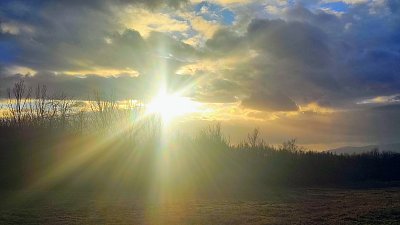 Už se šíří, že jaro se blíží