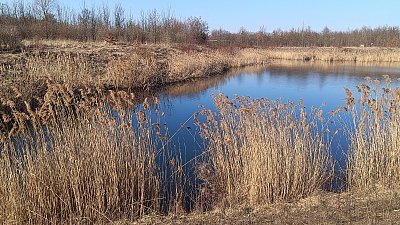 Barvičky teprve chystáme, modrá to jistí... *